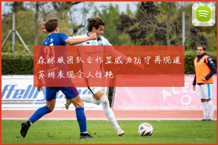 森林狼团队合作显威力防守再现道苏姆表现令人惊艳
