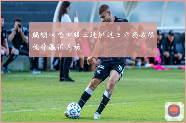 鹈鹕状态回暖三连胜过去六场战绩优异赢得五场