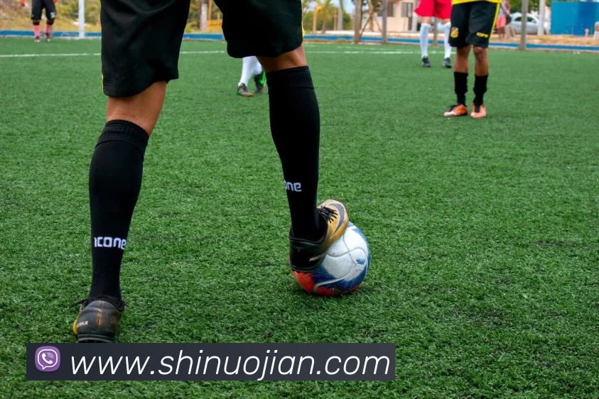 App Interface Preview